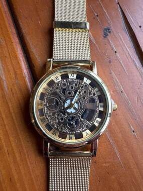 T-WINNER Luxury Gold Skeleton Mechanical Mesh Men's Watch